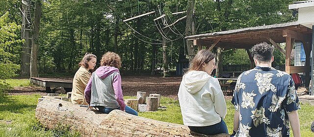 mehrere junge Menschen sitzen auf einem Baumstamm in der Natur sprechen 